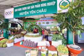Gian trưng bày sản phẩm OCOP của Sơn La tại Festival trái cây và sản phẩm OCOP năm 2022. (Ảnh: Quang Quyết-TTXVN)