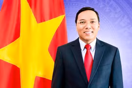 Đại sứ Việt Nam tại Liên hiệp Vương quốc Anh Nguyễn Hoàng Long. (Nguồn: baoquocte.vn)