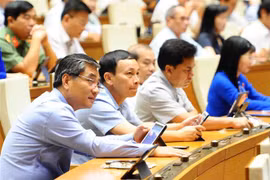 Các đại biểu biểu quyết thông qua Luật Cảnh sát cơ động. (Ảnh: Minh Đức/TTXVN)