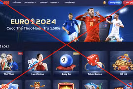 Các website cá độ bóng đá trực tuyến 'mọc lên như nấm' trong mùa EURO 2024. (Ảnh minh họa)