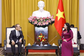 Phó Chủ tịch nước Võ Thị Ánh Xuân tiếp Chủ tịch Hãng Thông tấn Kyodo News (Nhật Bản) Toru Mizutani. (Ảnh: An Đăng/TTXVN)