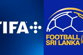 (Nguồn: SportsTiger)