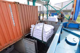 Bốc xếp, vận chuyển gạo xuất khẩu tại Công ty TNHH gạo Vinh Phát ở thành phố Long Xuyên, An Giang. (Ảnh: Vũ Sinh/TTXVN))