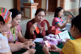 Tư vấn sức khỏe sinh sản cho người dân xã Bồng Khê, huyện Con Cuông, tỉnh Nghệ An. (Ảnh: Bích Huệ/TTXVN)