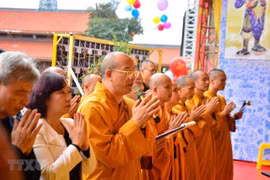 Ảnh minh họa. (Nguồn: TTXVN)