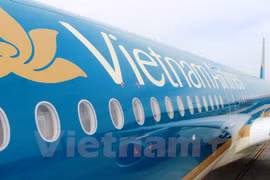 Ảnh minh họa. (Ảnh: Việt Hùng/Vietnam+)