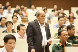 Đại biểu Quốc hội tỉnh Quảng Nam Ngô Văn Minh chất vấn thành viên Chính phủ. (Ảnh: Phương Hoa/TTXVN)