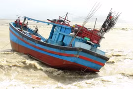 Ảnh minh họa. (Nguồn: TTXVN)