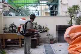 Phun xịt thuốc diệt muỗi tại khu dân cư phường 25, quận Bình Thạnh. (Ảnh: Phương Vy/TTXVN)