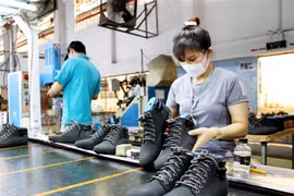 (Ảnh minh họa: Hồng Đạt/TTXVN)