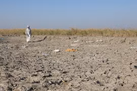 Đầm lầy Mesopotamian khô hạn. (Nguồn: globaltimes.cn)