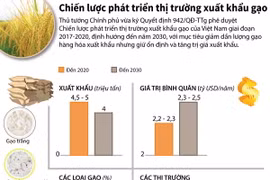 [Infographics] Chiến lược phát triển thị trường xuất khẩu gạo