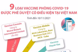 9 loại vaccine phòng COVID-19 được phê duyệt có điều kiện tại Việt Nam