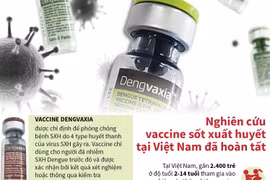Nghiên cứu vắcxin sốt xuất huyết tại Việt Nam đã hoàn tất