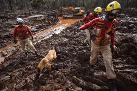 Lực lượng cứu hộ tìm kiếm thi thể nạn nhân sau vụ vỡ đập ở bang Minas Gerais, Brazil. (Nguồn: AFP/TTXVN)