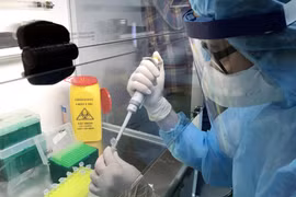 Bác sỹ Bệnh viện Ung bướu Nghệ An tiến hành xét nghiệm virus SARS–CoV-2 bằng kỹ thuật Realtime PCR. (Ảnh: Tá Chuyên/TTXVN)