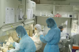 Nhân viên Viện Pasteur Thành phố Hồ Chí Minh miệt mài trong phòng xét nghiệm tìm virus SARS-CoV-2. (Ảnh: Đinh Hằng/TTXVN)