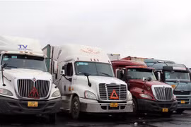 Nhiều xe contaner chở hàng đang bị mắc kẹt ở cửa khẩu Móng Cái. (Ảnh: TTXVN phát)