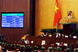 Đại biểu Quốc hội đề xuất tăng thời lượng thảo luận, chất vấn