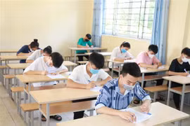 Ảnh minh họa. (Ảnh: Bích Huệ/TTXVN)