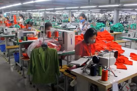 Công nhân Nhà máy may xuất khẩu Sơn Hà (thị xã Bỉm Sơn) bị giảm thu nhập do công ty thiếu đơn hàng. (Ảnh: Nguyễn Nam/TTXVN)