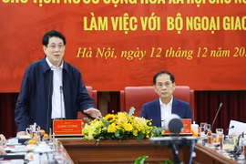 Chủ tịch nước Lương Cường phát biểu chỉ đạo. (Ảnh: Lâm Khánh/TTXVN)