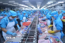 Chế biến thủy sản xuất khẩu. (Nguồn: TTXVN)