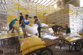 Chuẩn bị nguồn hàng gạo xuất khẩu tại Công ty Lương thực sông Hậu thuộc Tổng công ty Lương thực miền Nam. (Ảnh: TTXVN)