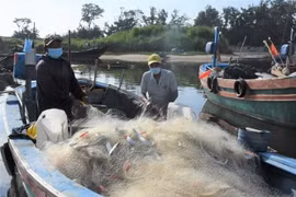 Bộ Công Thương đang đề xuất chính sách hỗ trợ giá xăng dầu cho ngư dân. (Ảnh: TTXVN)