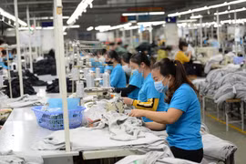 Ông Cao Hữu Hiếu, Tổng Giám đốc Vinatex phát biểu tại hội nghị tổng kết của Tập đoàn. (Ảnh: Xuân Quảng/Vietnam+)