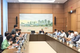 Các đại biểu thảo luận ở tổ về dự thảo Nghị quyết là thực hiện thí điểm trên phạm vi toàn quốc việc cấp quyền lựa chọn sử dụng biển số xe ôtô thông qua đấu giá. (Ảnh: Xuân Quảng/Vietnam+)