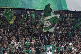 Người hâm mộ Câu lạc bộ Maccabi Haifa. (Nguồn: AP)