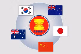 Hiệp định Đối tác Kinh tế Toàn diện Khu vực (RCEP) hiện quy tụ 15 thành viên. 