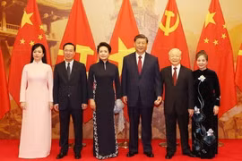 Bộ trưởng Bùi Thanh Sơn: Đã rõ bản sắc 'ngoại giao cây tre Việt Nam'