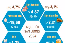 Ngành chăn nuôi đặt mục tiêu tăng giá trị sản xuất khoảng 4 đến 5%.
