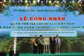 Lễ Công nhận Quần thể Cây Di sản. (Ảnh: TTXVN phát)