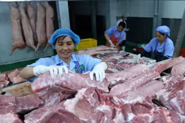 Chế biến thịt lợn sạch, an toàn. (Ảnh: Vũ Sinh/TTXVN)
