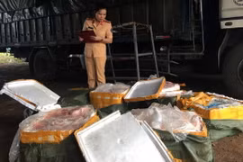 Cảnh sát giao thông Thanh Hóa kiểm đếm số thịt lợn hôi thối chở trên ôtô. (Ảnh: Trịnh Duy Hưng/TTXVN)