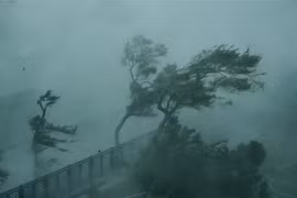 Gió lớn do ảnh hưởng của bão Mangkhut tại Hong Kong, Trung Quốc ngày 16/9. (Nguồn: THX/TTXVN)
