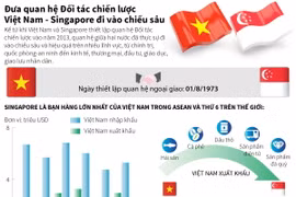 [Infographics] Phát triển Đối tác chiến lược Việt Nam-Singapore 