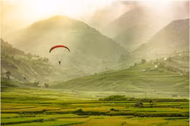 (Nguồn: Ban tổ chức)