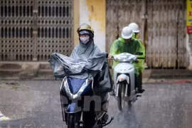 Ảnh minh họa. (Nguồn: Vietnam+)