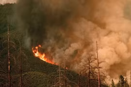 Khói lửa bốc lên từ đám cháy rừng ở vườn quốc gia Yosemite, bang California, Mỹ ngày 21/7. (Nguồn: AFP/TTXVN