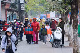 Ảnh minh họa. (Nguồn: Vietnam+)