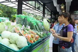 Ảnh chỉ mang tính minh họa. (Nguồn: PV/Vietnam+)