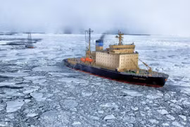 Năm 2020 là năm đặc biệt nóng không chỉ tại Nga mà cả hành tinh. (Nguồn: themoscowtimes.com)