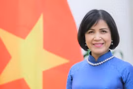 Đại sứ Lê Thị Tuyết Mai, Trưởng Phái đoàn Việt Nam tại Geneva làm Trưởng đoàn đàm phán. (Ảnh: Tố Uyên/TTXVN)