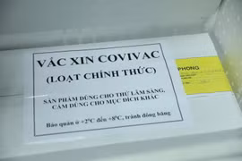 Vaccine COVIVAC được bảo quản tại kho của Viện vệ sinh dịch tễ Trung ương. (Ảnh: Minh Quyết/TTXVN)