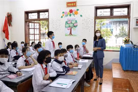 Ảnh minh họa. (Ảnh: Hữu Quyết/TTXVN)