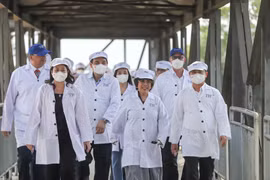 Chiều 5/4, nhân chuyến công tác tại tỉnh Nghệ An, Phó Chủ tịch nước Võ Thị Ánh Xuân đã đến thăm trang trại bò sữa tập trung của tập đoàn TH tại huyện Nghĩa Đàn. (Ảnh: Minh Sơn/Vietnam+)